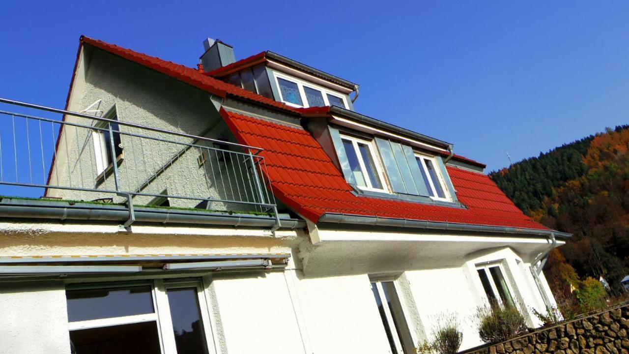 Villa Fink Schramberg Dış mekan fotoğraf