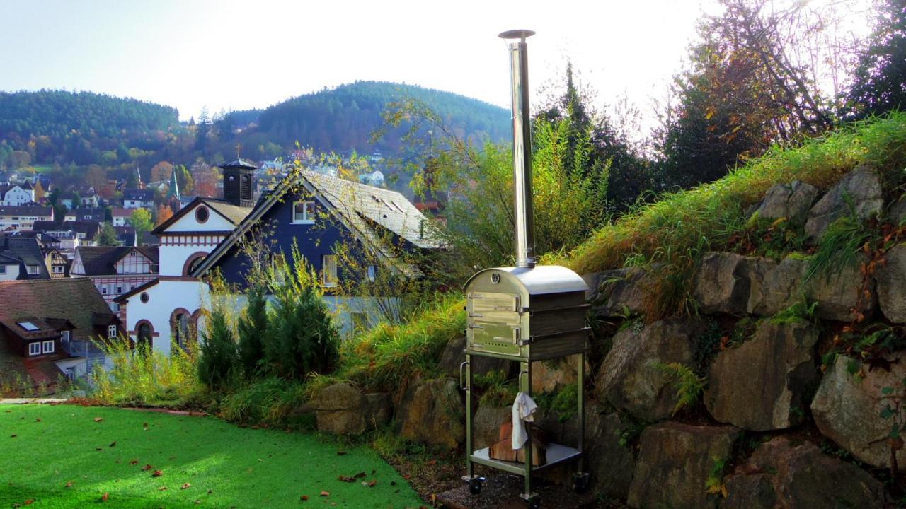 Villa Fink Schramberg Dış mekan fotoğraf
