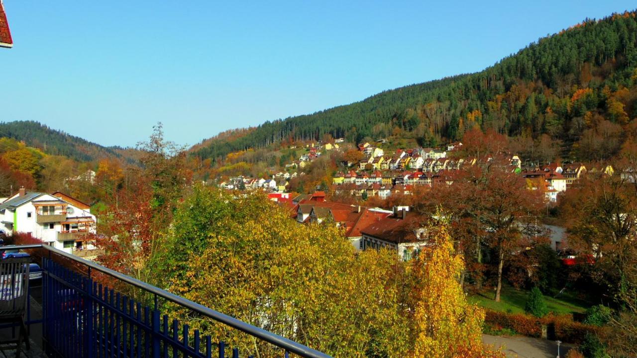 Villa Fink Schramberg Dış mekan fotoğraf