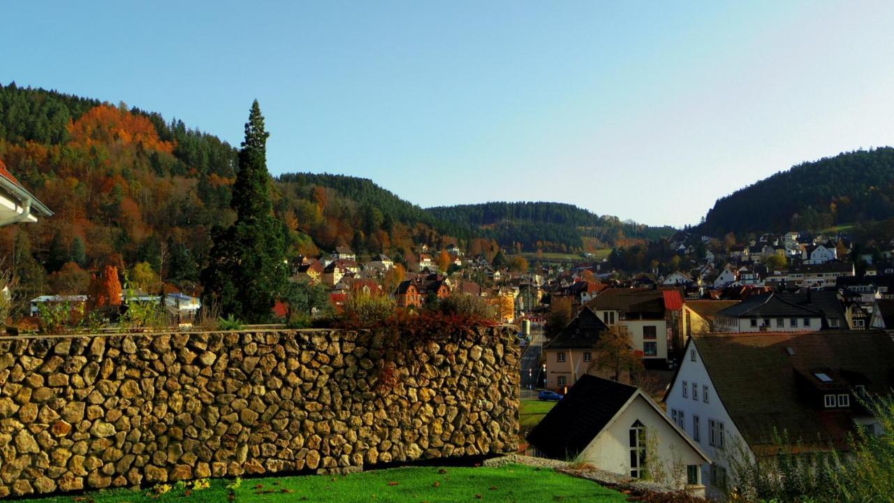 Villa Fink Schramberg Dış mekan fotoğraf