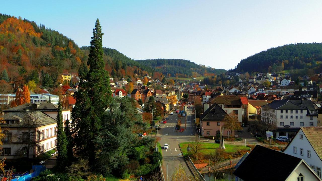 Villa Fink Schramberg Dış mekan fotoğraf
