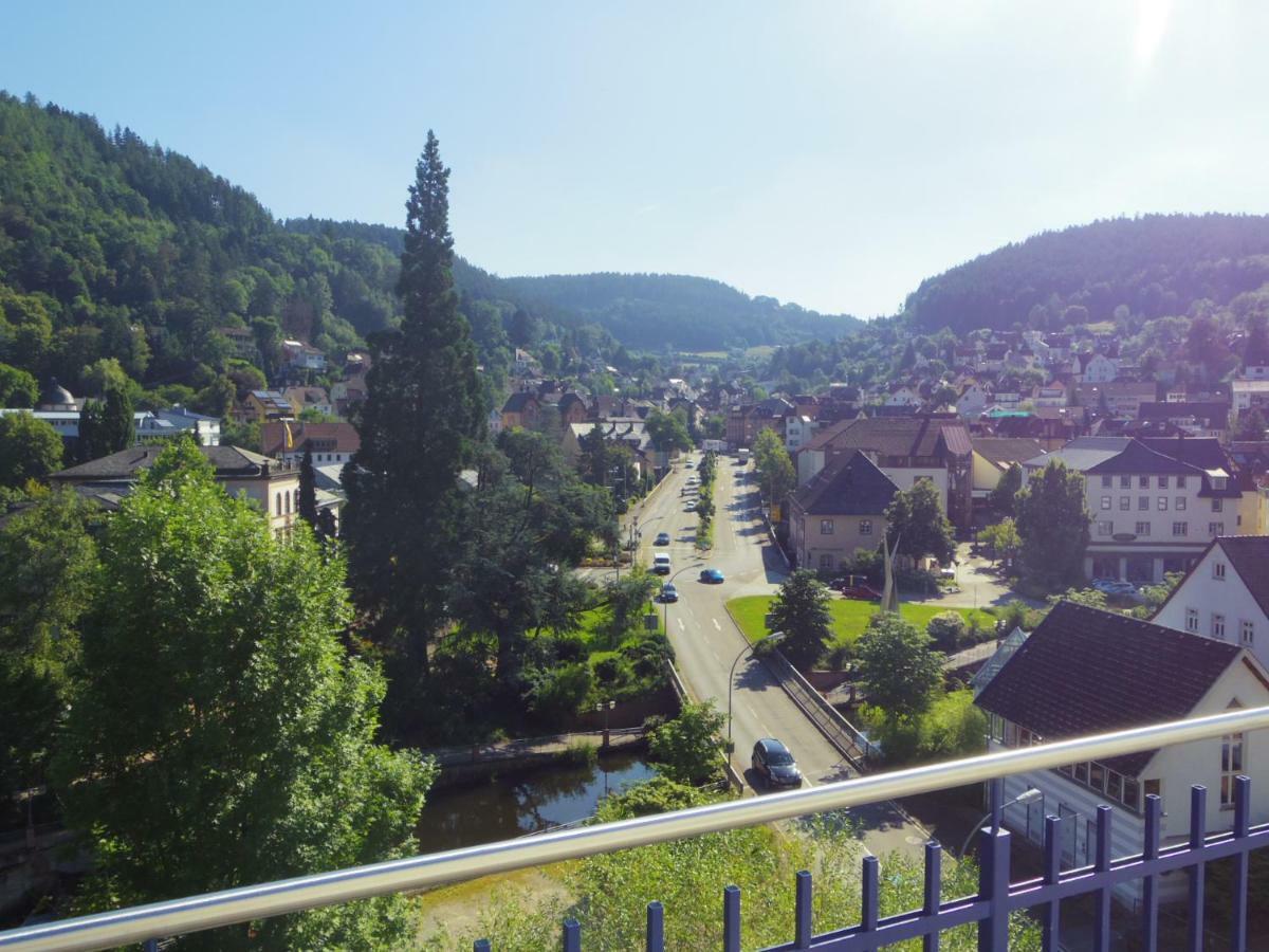Villa Fink Schramberg Dış mekan fotoğraf
